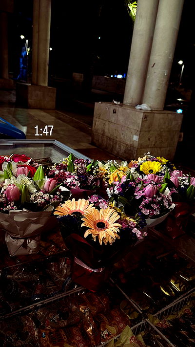 _lil_noa_ _lil_noa_ archive video