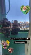haley_meister Altpins Profile Picture