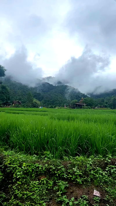 lea._3827 lea._3827 archive video