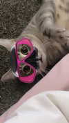 nylthria Altpins Profile Picture