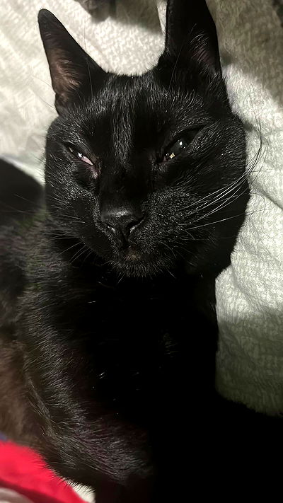 feelbetterinmysweater feelbetterinmysweater archive video