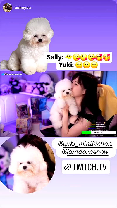 iamdorasnow iamdorasnow archive video