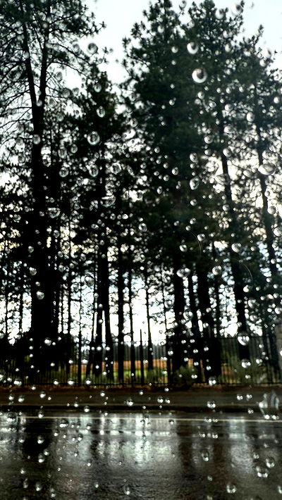 sweetmuffinnss sweetmuffinnss archive video