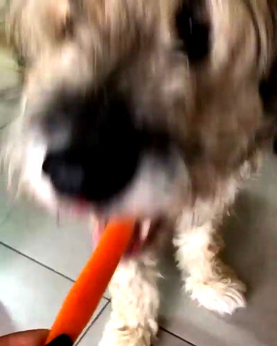 kesemgreenyer kesemgreenyer archive video