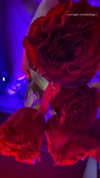 klarissasalazar Altpins Profile Picture