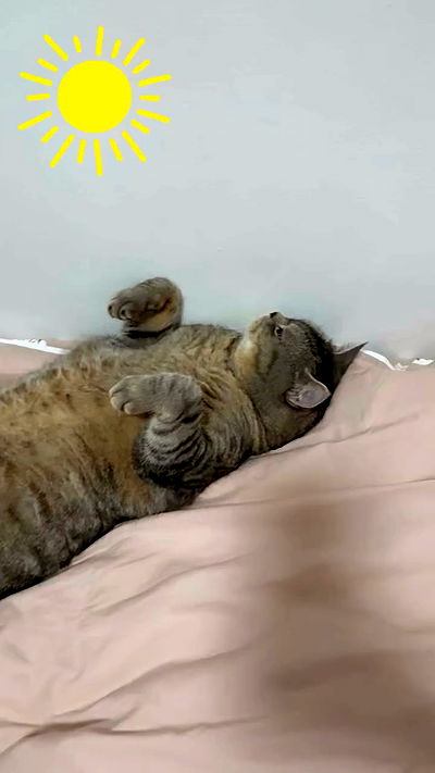 neomiconrad neomiconrad archive video