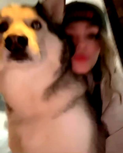 _animechika_ _animechika_ archive video