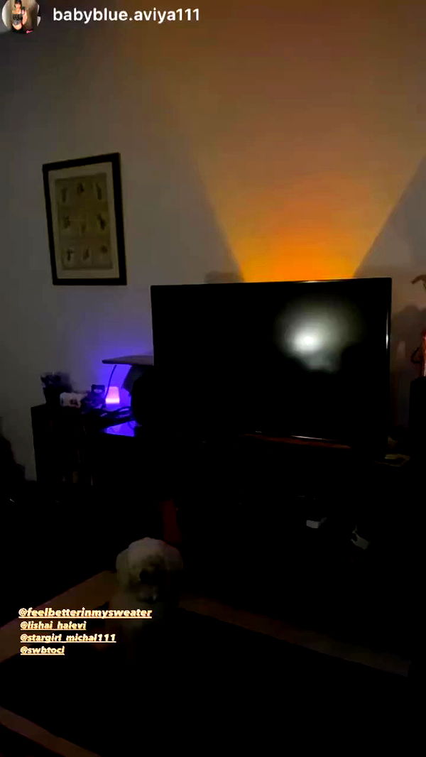 feelbetterinmysweater archive video preview