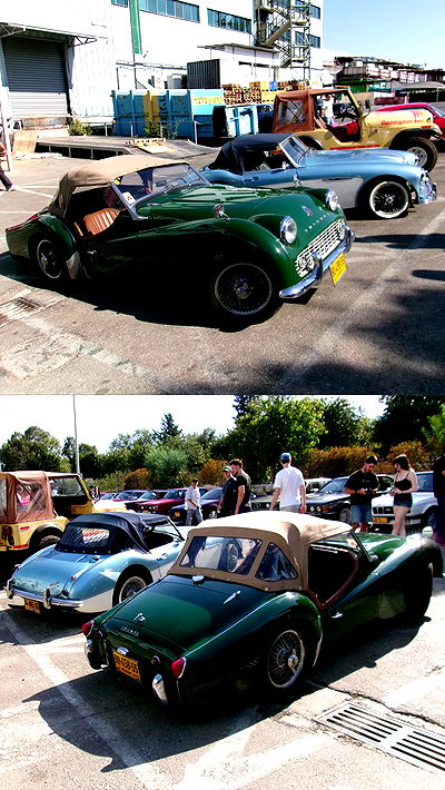 simp_for_cats_ simp_for_cats_ archive video