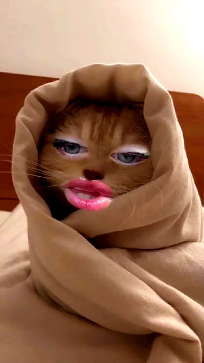 moonliliaght moonliliaght archive video