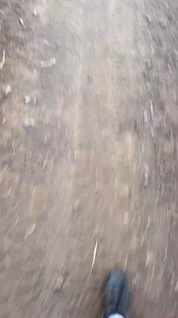 noa.c___ archive video preview