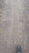 noa.c___ Altpins Profile Picture
