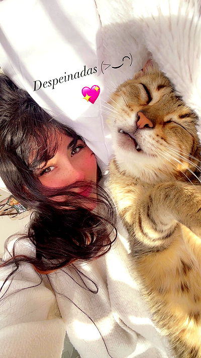 shunli__mei shunli__mei archive video