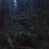 newpoort Altpins Profile Picture