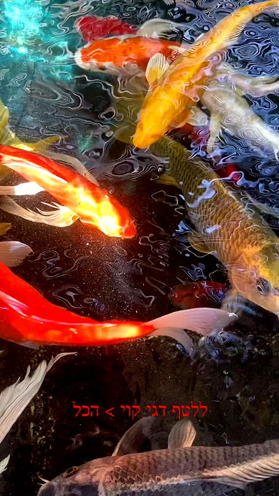 feelbetterinmysweater feelbetterinmysweater archive video