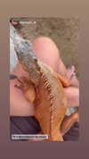 caseboon Altpins Profile Picture