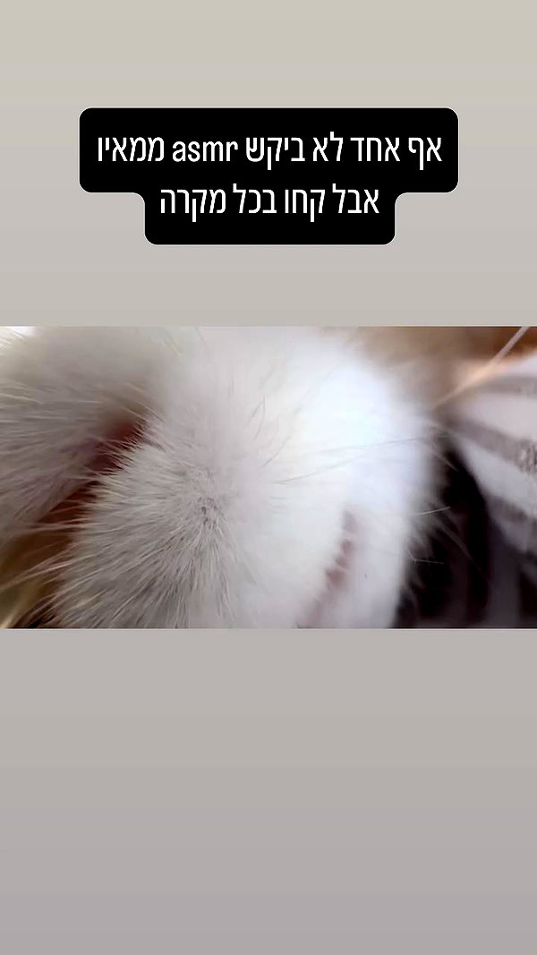 iconic_danik archive video preview