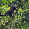 skyleraboujaoude Altpins Profile Picture