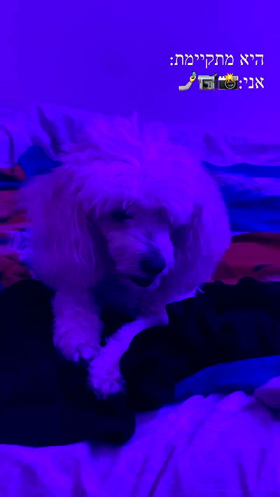 feelbetterinmysweater feelbetterinmysweater archive video