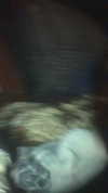 novahnovielli Altpins Profile Picture