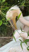 taamargk Altpins Profile Picture