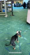 jenny.kaly Altpins Profile Picture