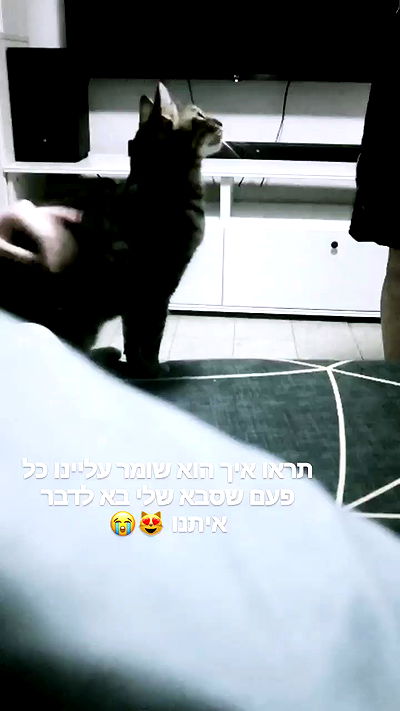 moonyyyya moonyyyya archive video