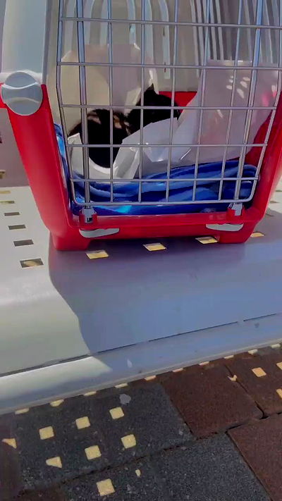 feelbetterinmysweater feelbetterinmysweater archive video