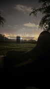or_hasid Altpins Profile Picture