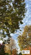 xo.cynnthiia Altpins Profile Picture