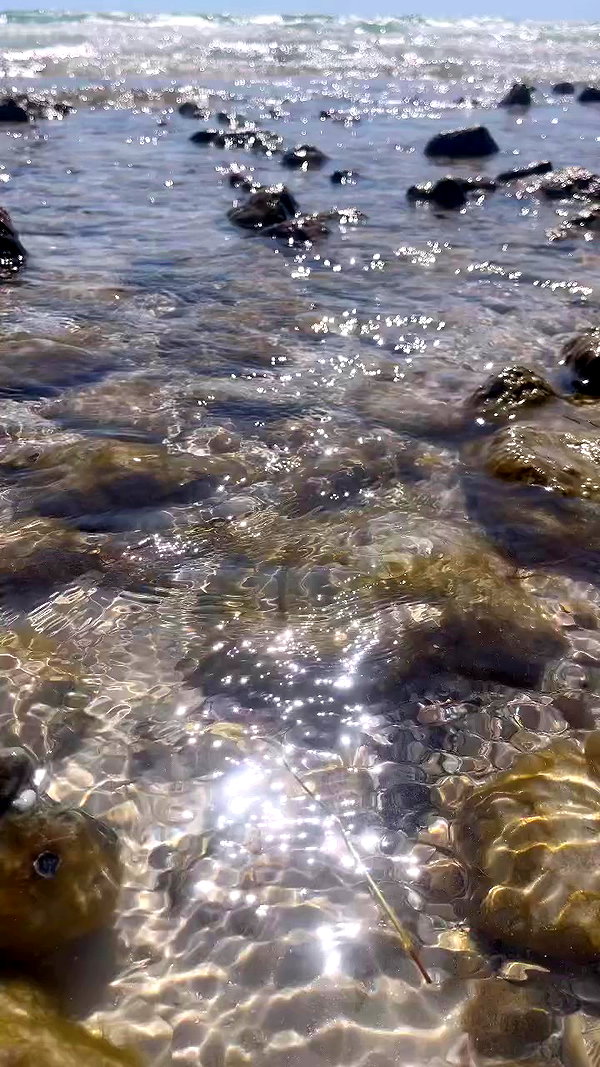 porcelainpixi archive video preview