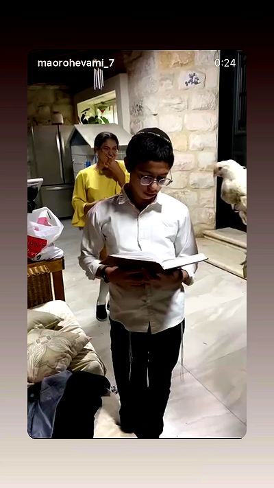 _lil_noa_ _lil_noa_ archive video