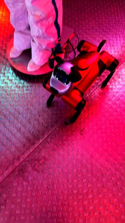 ninja.vi ninja.vi archive video