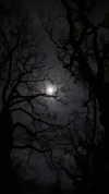 sanguislune Altpins Profile Picture