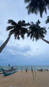 mayan.cohen Altpins Profile Picture