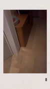 __yaheli_ Altpins Profile Picture