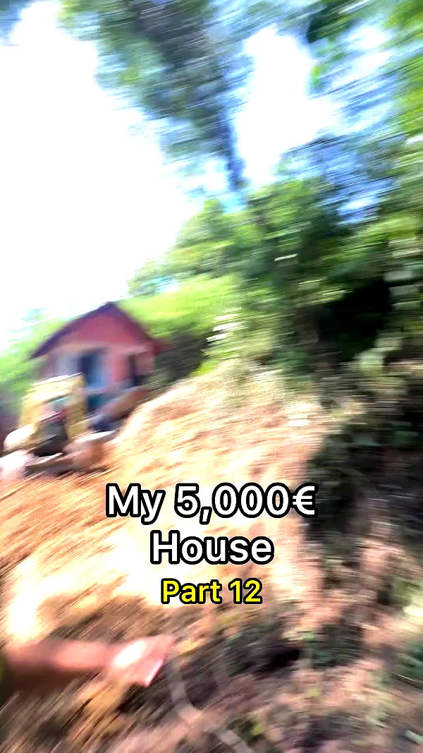 justus_reid archive video preview