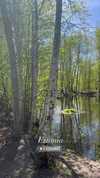 sonya_fisher_ Altpins Profile Picture