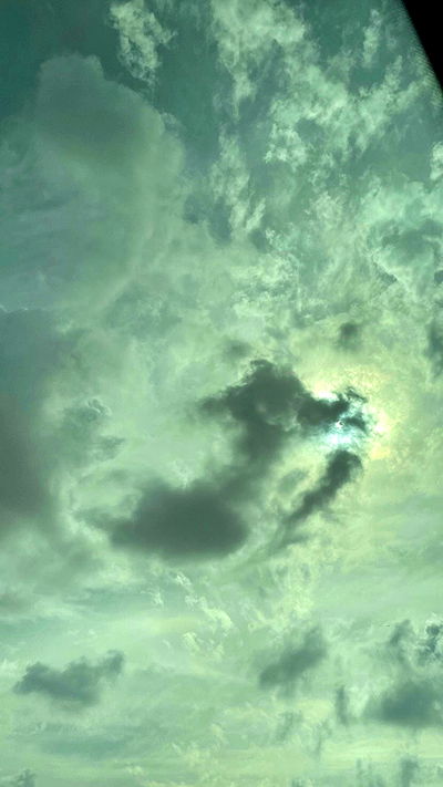 noa_zemlyanski noa_zemlyanski archive video