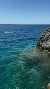 amit.yaron Altpins Profile Picture