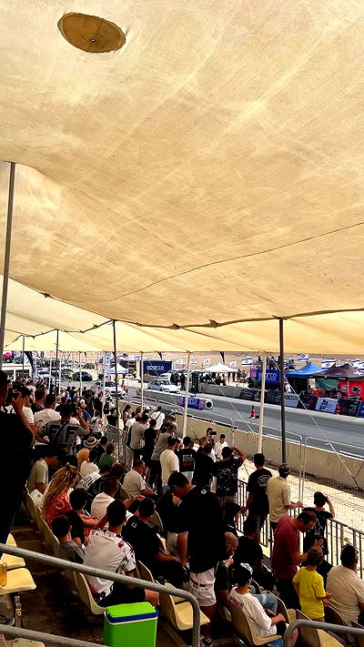 simp_for_cats_ simp_for_cats_ archive video