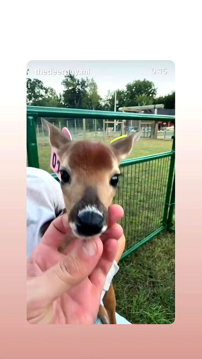 zoelegault_ zoelegault_ archive video