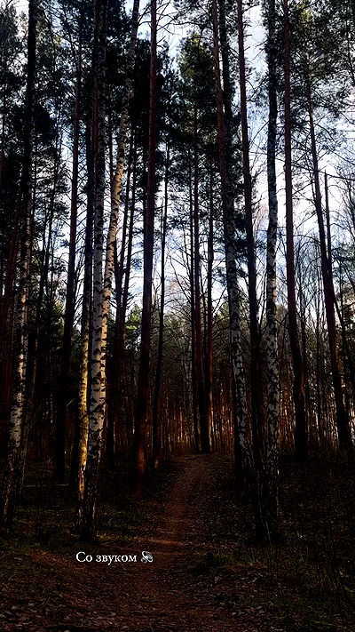 nyityam nyityam archive video