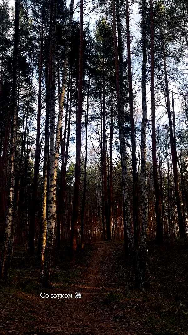 nyityam archive video preview