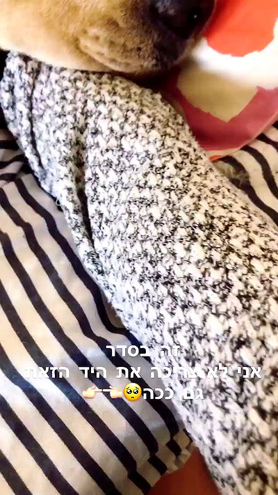 lissi77 lissi77 archive video