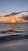 jenny.kaly Altpins Profile Picture