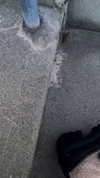 carmen.lial Altpins Profile Picture