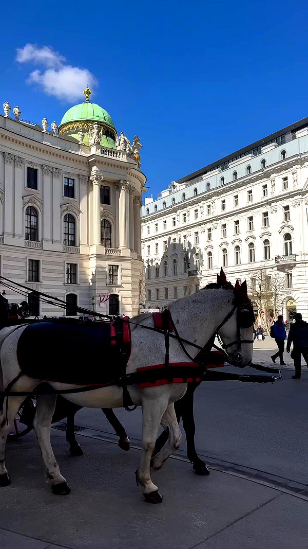 noammalka___ archive video preview