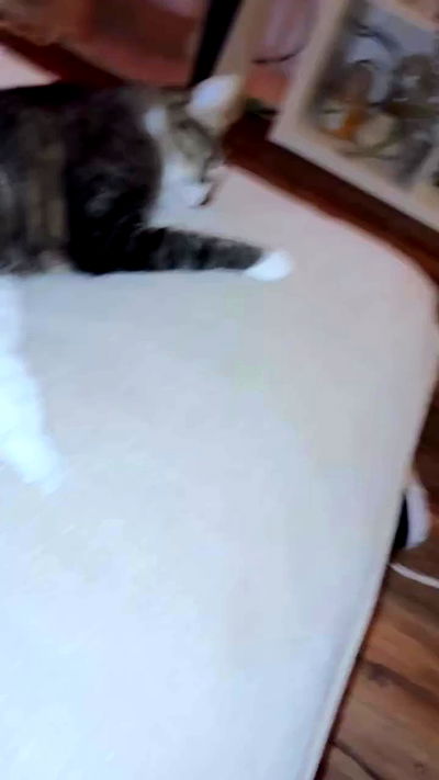 laluzone laluzone archive video