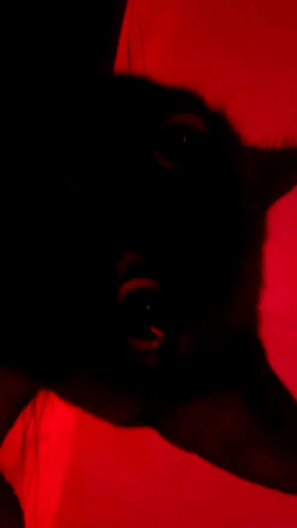 feelbetterinmysweater archive video preview